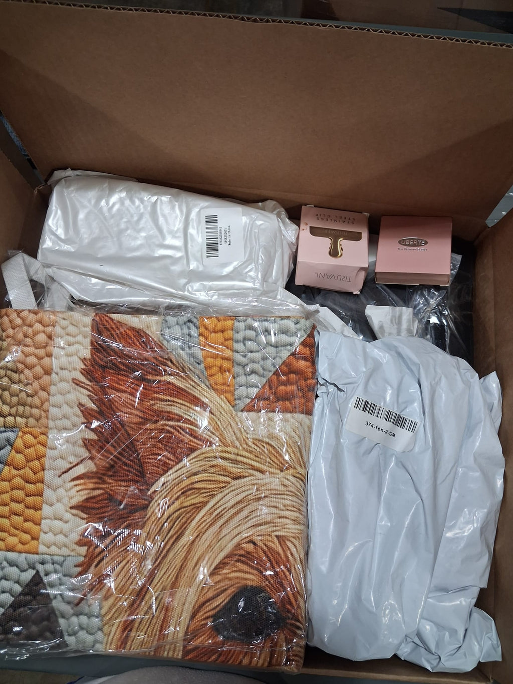 TikTok Mystery Box