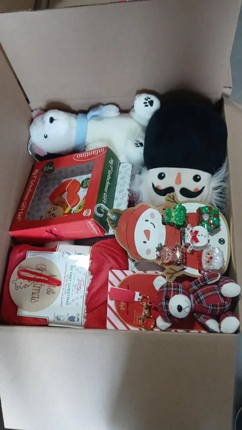 Christmas Mystery Box