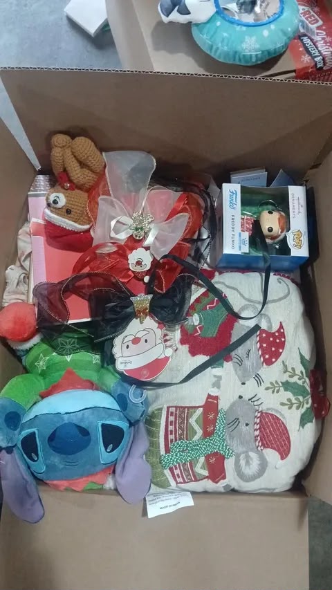 Christmas Mystery Box