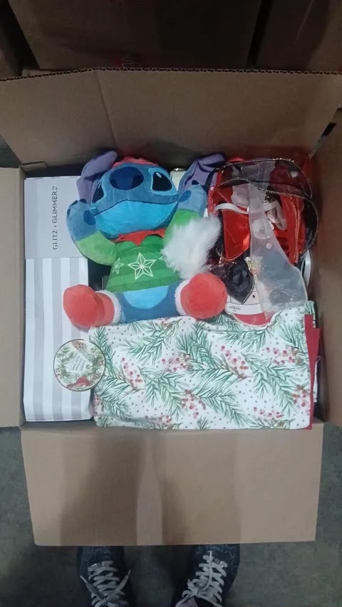 Christmas Mystery Box