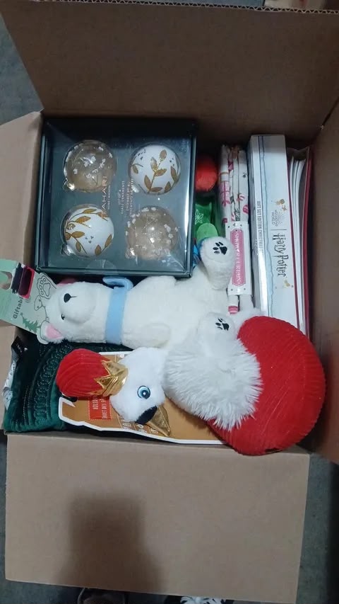 Christmas Mystery Box
