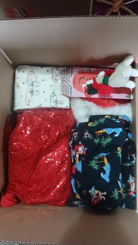 Christmas Mystery Box