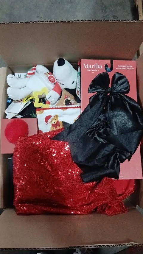 Christmas Mystery Box