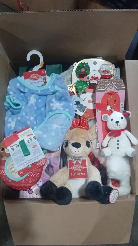 Christmas Mystery Box
